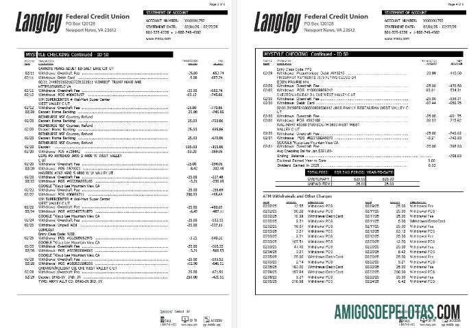Extrato bancário da União de Crédito Federal Langley dos EUA, exemplo de 6 páginas 2